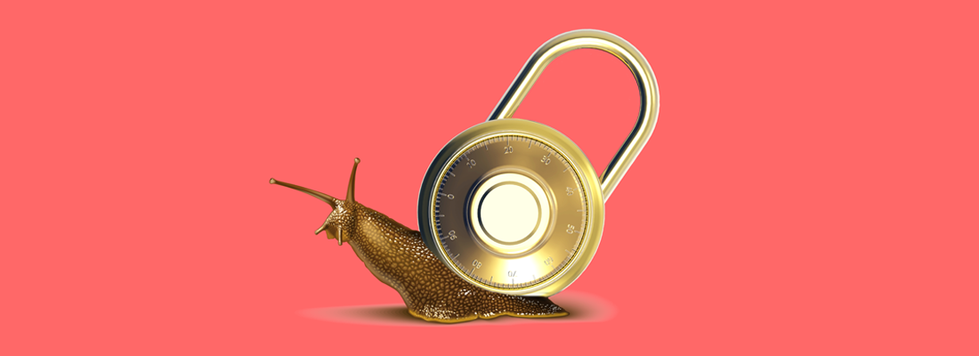 A snail carrying a padlock on its back